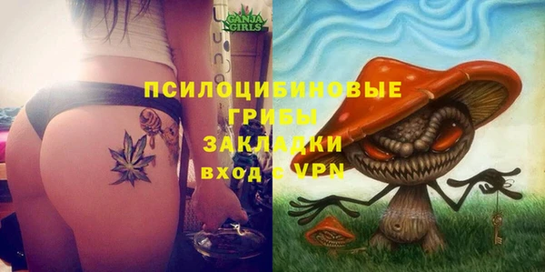 шишки Богданович